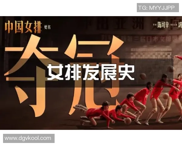 武汉排球队实力分析与发展潜力探讨：数据背后的故事与启示